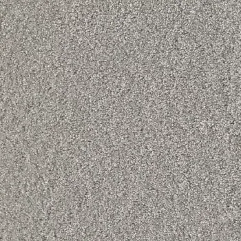 Draufsicht Girloon Cloud 511 Velours Teppichboden